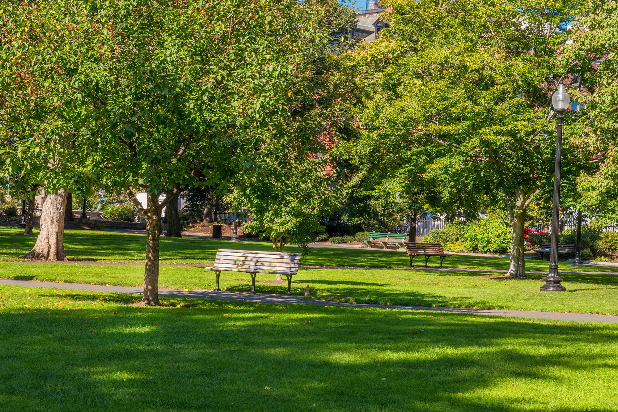 boston-usa-public-garden-common-frog-pond-and-cit-2026-03-26-08-16-02-utc